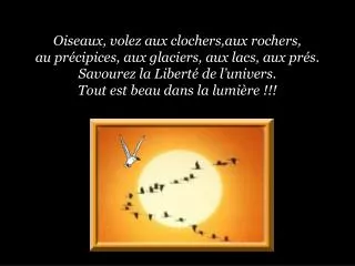 Sittelle torchepot Sitta europaea