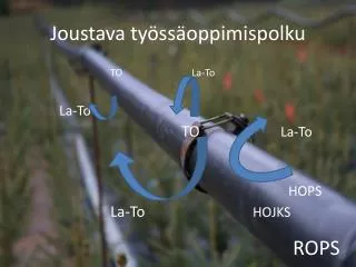 joustava ty ss oppimispolku