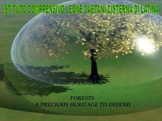 FORESTS A PRECIOUS HERITAGE TO DEFEND