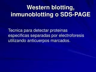 western blotting inmunoblotting o sds page