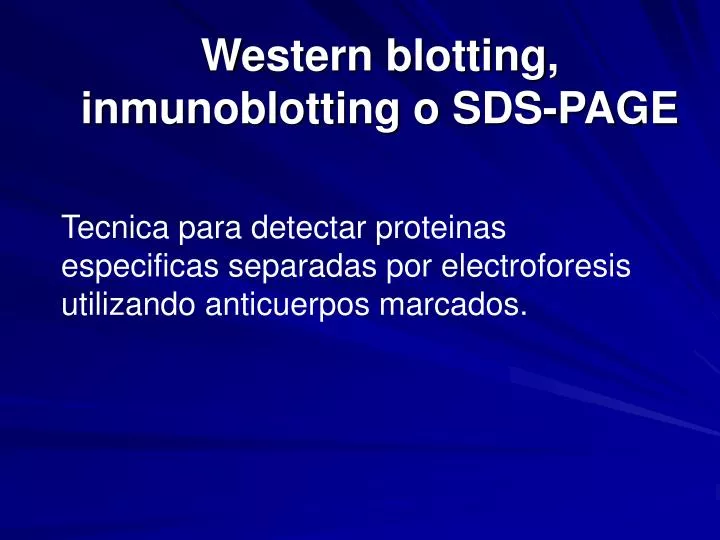 western blotting inmunoblotting o sds page