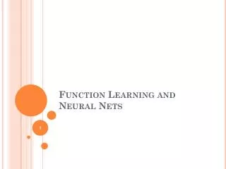 Function Learning and Neural Nets