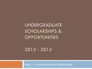 Undergraduate scholarships &amp; opportunities 2012 - 2013