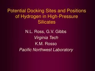 Potential Docking Sites and Positions of Hydrogen in High-Pressure Silicates