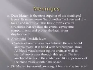 meninges