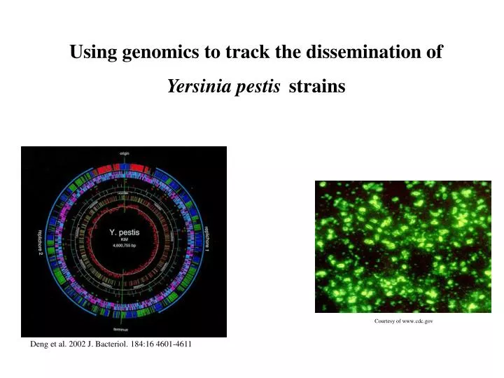 using genomics to track the dissemination of yersinia pestis strains