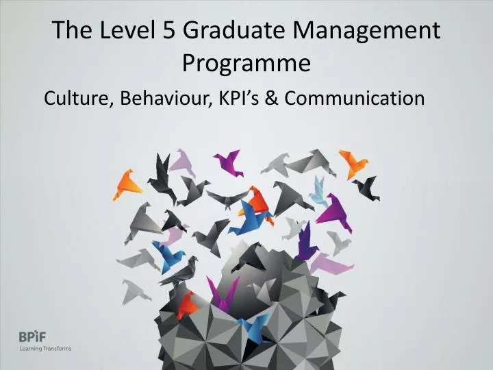 the level 5 graduate management programme