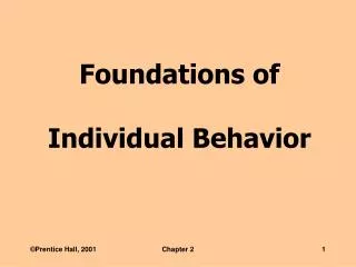 Foundations of Individual Behavior