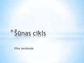 nas cikls
