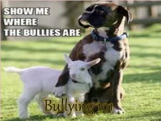 Bullying 101