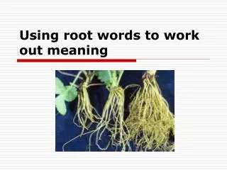 Using root words to work out meaning