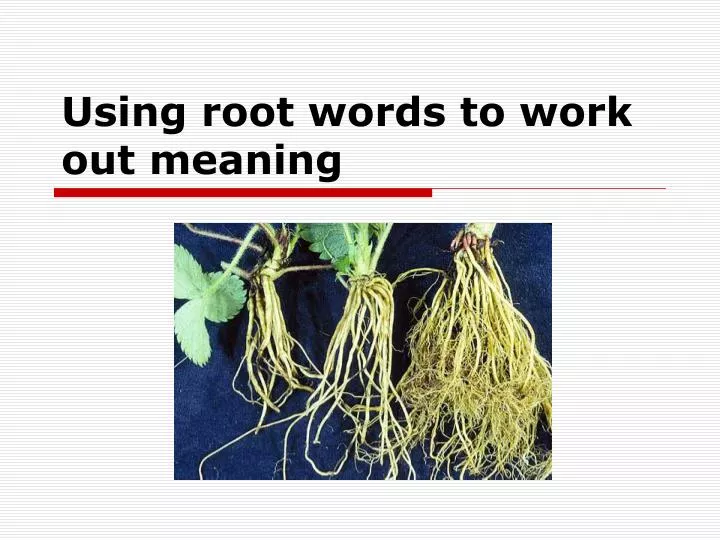 using root words to work out meaning