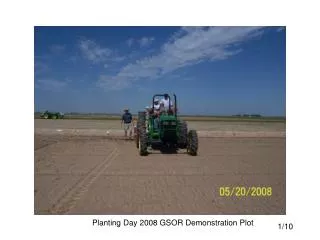 Planting Day 2008 GSOR Demonstration Plot