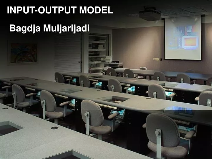 input output model