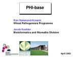 PHI-base: Comprehensive Database for Pathogen-Host Interactions in Wheat Pathogenesis - slide 1