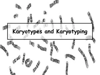 Karyotypes and Karyotyping