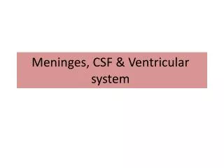 Meninges, CSF &amp; Ventricular system