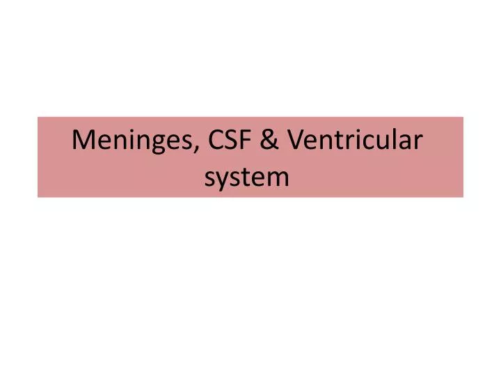 meninges csf ventricular system