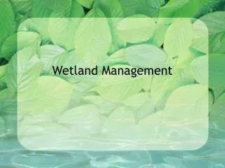 Wetland Management