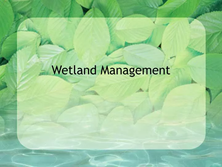 wetland management