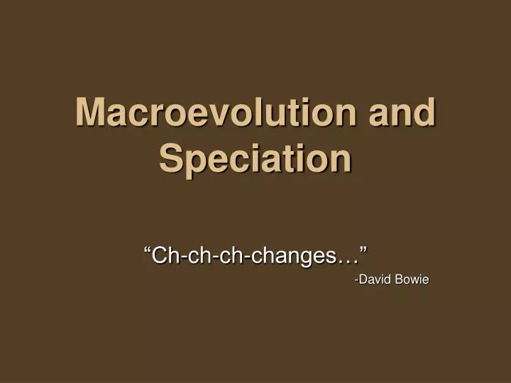 macroevolution and speciation