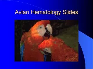 Avian Hematology Slides