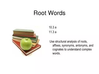 Root Words