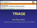 TRIAGE - slide 1