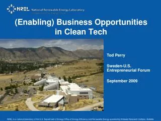 (Enabling) Business Opportunities in Clean Tech