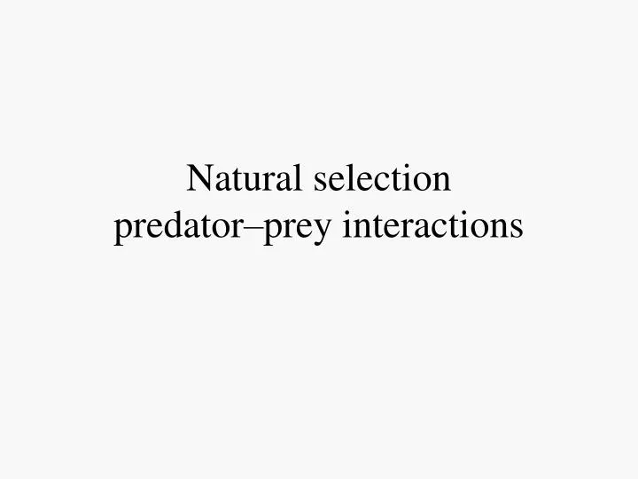 natural selection predator prey interactions