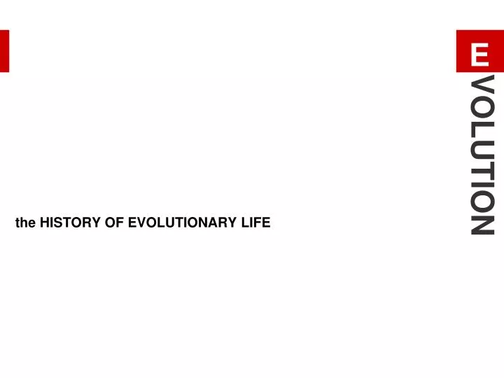 the history of evolutionary life