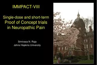 IMMPACT-VIII Single-dose and short-term Proof of Concept trials in Neuropathic Pain