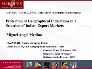 Miguel Angel Medina ELZABURU, Spain, European Union Chair of MARQUES Geographical Indications Team