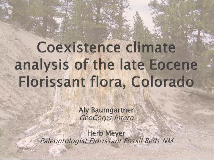 coexistence climate analysis of the late eocene florissant flora colorado