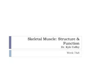 Skeletal Muscle: Structure &amp; Function Dr. Kyle Coffey