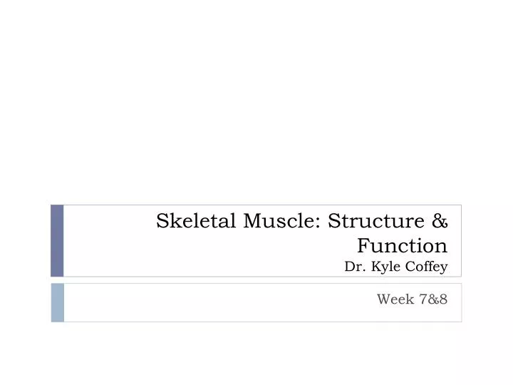 skeletal muscle structure function dr kyle coffey