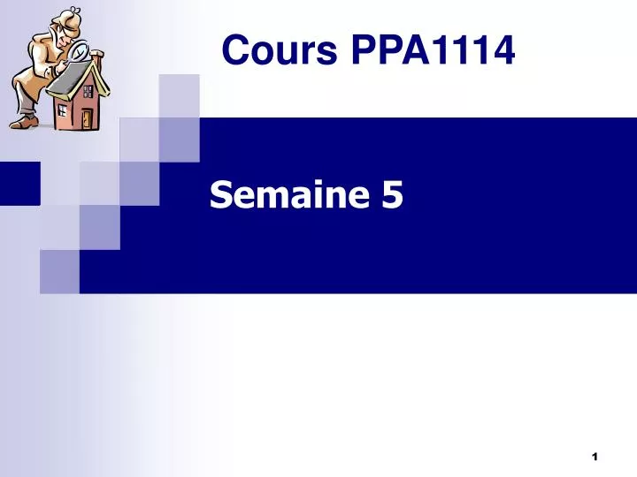 cours ppa1114