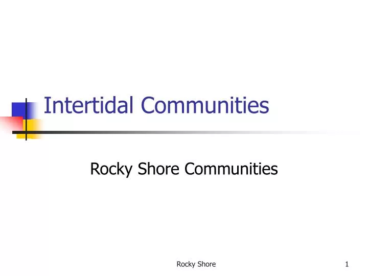 intertidal communities