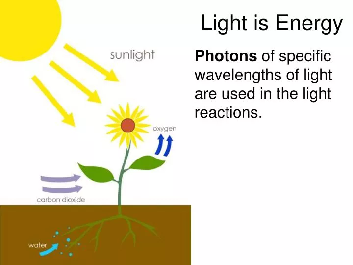 light is energy