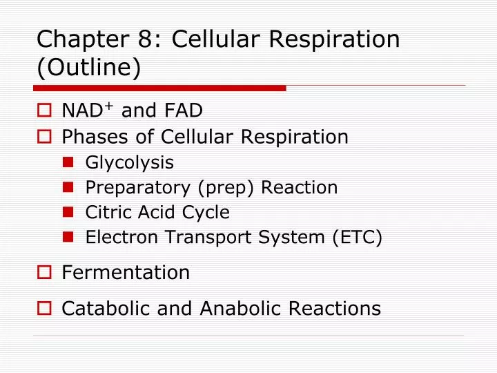chapter 8 cellular respiration outline