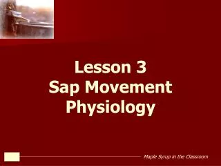 Lesson 3 Sap Movement Physiology