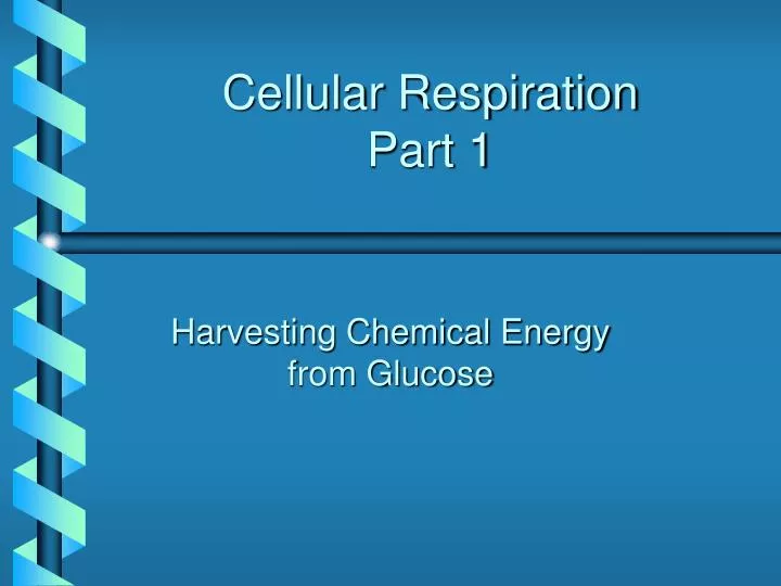 cellular respiration part 1