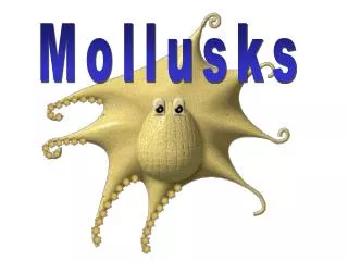 Mollusks