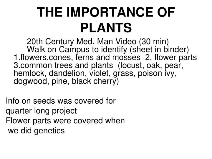 the importance of plants