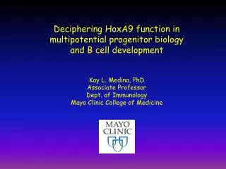 Deciphering HoxA9 function in multipotential progenitor biology and B cell development