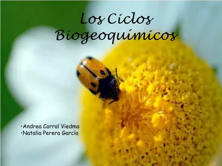 los ciclos biogeoqu micos