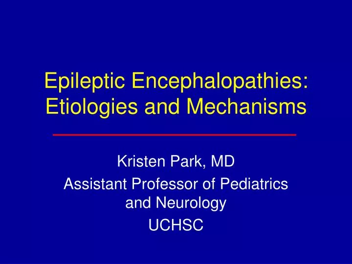 epileptic encephalopathies etiologies and mechanisms