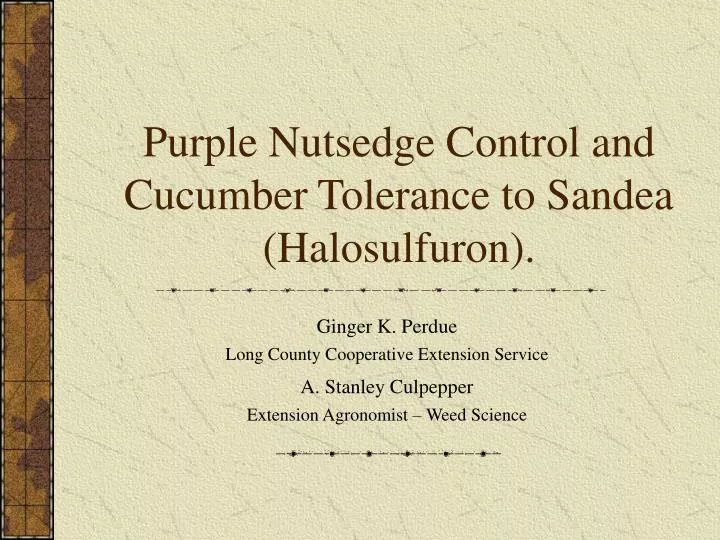 purple nutsedge control and cucumber tolerance to sandea halosulfuron