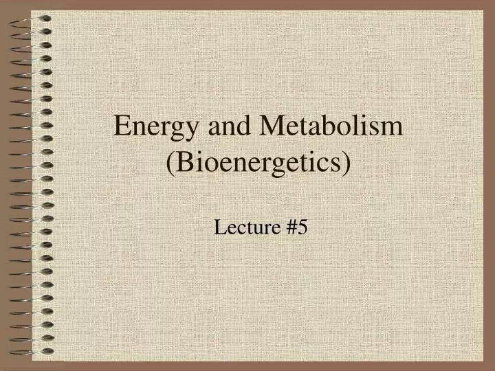 energy and metabolism bioenergetics