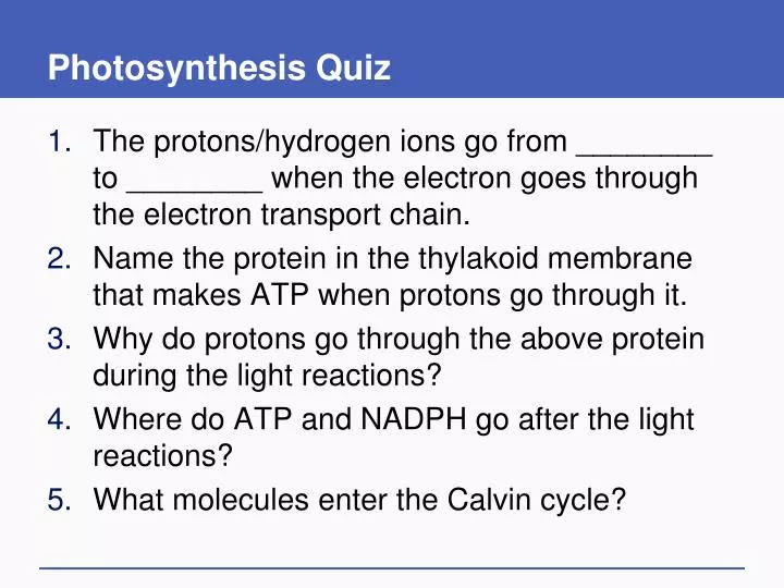 photosynthesis quiz